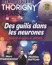 Des Guilis dans les neurones Centre Culturel Le Moustier Affiche