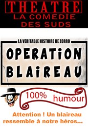 Opération blaireau : La véritable histoire de Zorro La Comdie des Suds Affiche