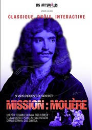 Mission Molière Thtre Lulu Affiche