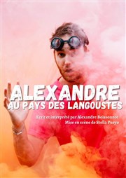 Alexandre au pays des langoustes Thtre Pixel Affiche