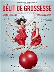 Délit de grossesse Thtre le Tribunal Affiche