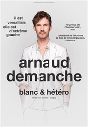 Arnaud Demanche dans Blanc & Hétéro Thtre Daudet Affiche