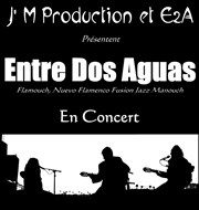 Entre dos aguas au festival retirada Salle Ernest Renan Affiche