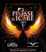 Cirque Alexis Gruss dans Pégase & Icare Le Millsium Affiche