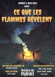 Ce que les flammes révèlent Thtre du Marais Affiche