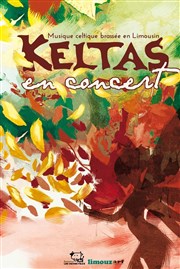 Keltas Chteau de la Buzine Affiche