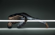 Alonzo King Lines Ballet Centre des bords de Marne Affiche