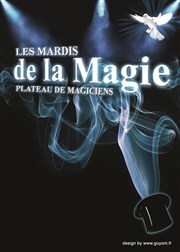 Les Mardis de la Magie Thtre du Gouvernail Affiche