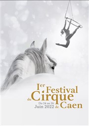 Festival du Cirque de Caen Parc des expositions de Caen Affiche