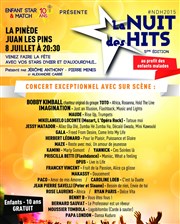 La Nuit des Hits La Pinde Gould Affiche