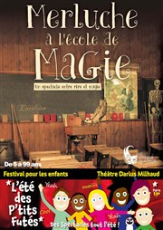 Merluche épisode 1 : L'école de magie Thtre Darius Milhaud Affiche