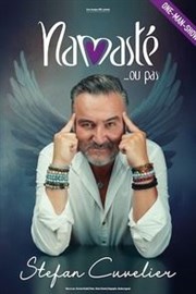 Stefan Cuvelier dans Namasté... ou pas Thtre  l'Ouest Auray Affiche