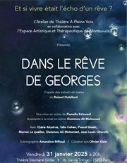 Dans le rêve de Georges Thtre Stphane Gildas Affiche