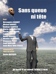 Sans queue ni tête Thtre de Nesle - grande salle Affiche