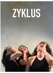 Zyklus Lavoir Moderne Parisien Affiche