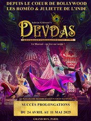 Devdas, Le musical Le Grand Rex Affiche