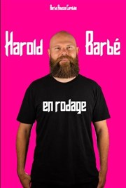 Harold Barbé | En rodage Thtre  l'Ouest Affiche