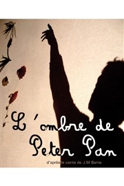 L'Ombre de Peter Pan Centre Culturel de la Jonquiere Affiche