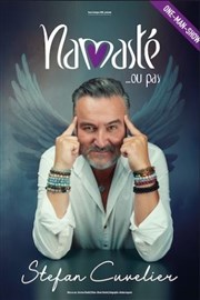 Stefan Cuvelier dans Namasté... ou pas Thtre  l'Ouest Affiche