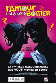 L'amour est dans le Boitier Le Zbre de Belleville Affiche