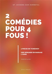 2 comédies pour 4 fous L'Entre Seine Affiche