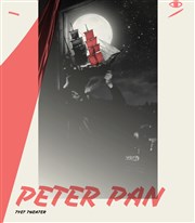 Peter Pan IVT International Visual Thtre Affiche