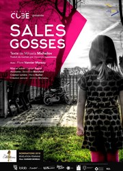 Sales Gosses Thtre Francine Vasse Affiche