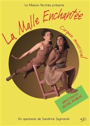 La Malle enchantée Comdie Triomphe Affiche