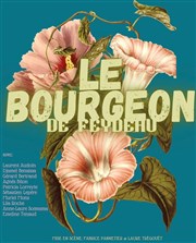 Le bourgeon Carr Club Bellefeuille Affiche