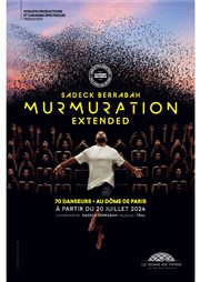 Murmuration extended Le Dme de Paris - Palais des sports Affiche