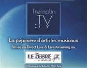 Tremplin TV Le Zbre de Belleville Affiche