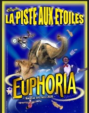 Cirque la piste aux étoiles dans Euphoria Cirque la piste aux toiles dans Euphoria Affiche