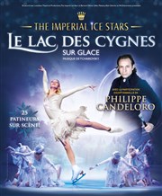 Le Lac des Cygnes sur glace Le Grand Rex Affiche