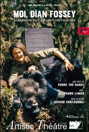 Moi, Dian Fossey Artistic Athvains Affiche