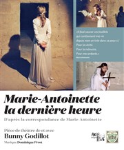 Marie-Antoinette la dernière heure Le 100ecs Affiche