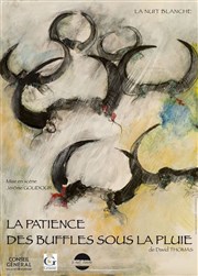 La patience des buffles sous la pluie Thtre de la Cit Affiche