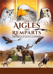 Les Aigles des Remparts Les Aigles des Remparts Affiche