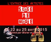 Stage de magie L'Orangerie du Val Ombreux Affiche