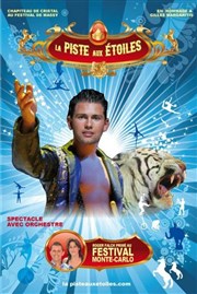 Cirque La Piste aux Etoiles | Angers chapiteau cirque la piste aux toiles  Angers Affiche