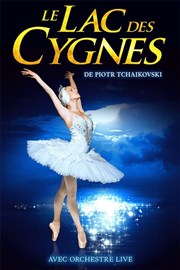 Le lac des cygnes La Seine Musicale - Grande Seine Affiche