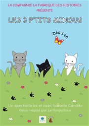 Les 3 p'tits minous Akton Thtre Affiche