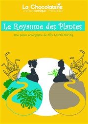 Le Royaume des Plantes La Chocolaterie Affiche