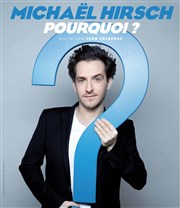 Michaël Hirsch dans Pourquoi ? Thtre Armande Bjart Affiche