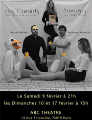 Les canards sauvages ABC Thtre Affiche