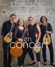 Ensemble cordes croisées Thtre de Nesle - grande salle Affiche