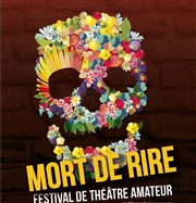 Festival Mort de Rire 2017 Thtre Grard Philipe Affiche