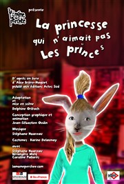 La princesse qui n'aimait pas les princes Pniche Le Lapin vert Affiche