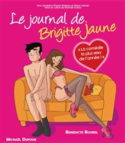 Le journal de Brigitte Jaune Thtre Comdie de Lille Affiche