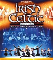 Irish Celtic Znith de Paris Affiche