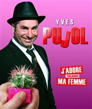 Yves Pujol dans J'adore toujours ma femme Salle des ftes de Sarry Affiche